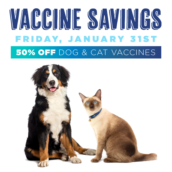 0125_K4VG_jan_vaccine_savings_mobile_header