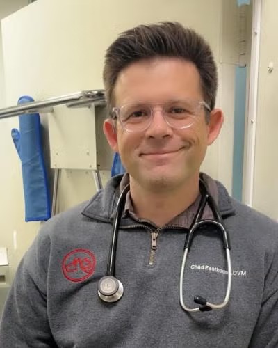 La Verne vet Dr. Easthouse wearing a stethoscope at the La Verne animal hospital